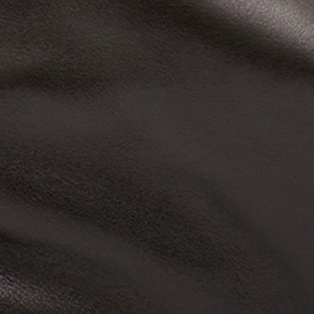 Leyden bag