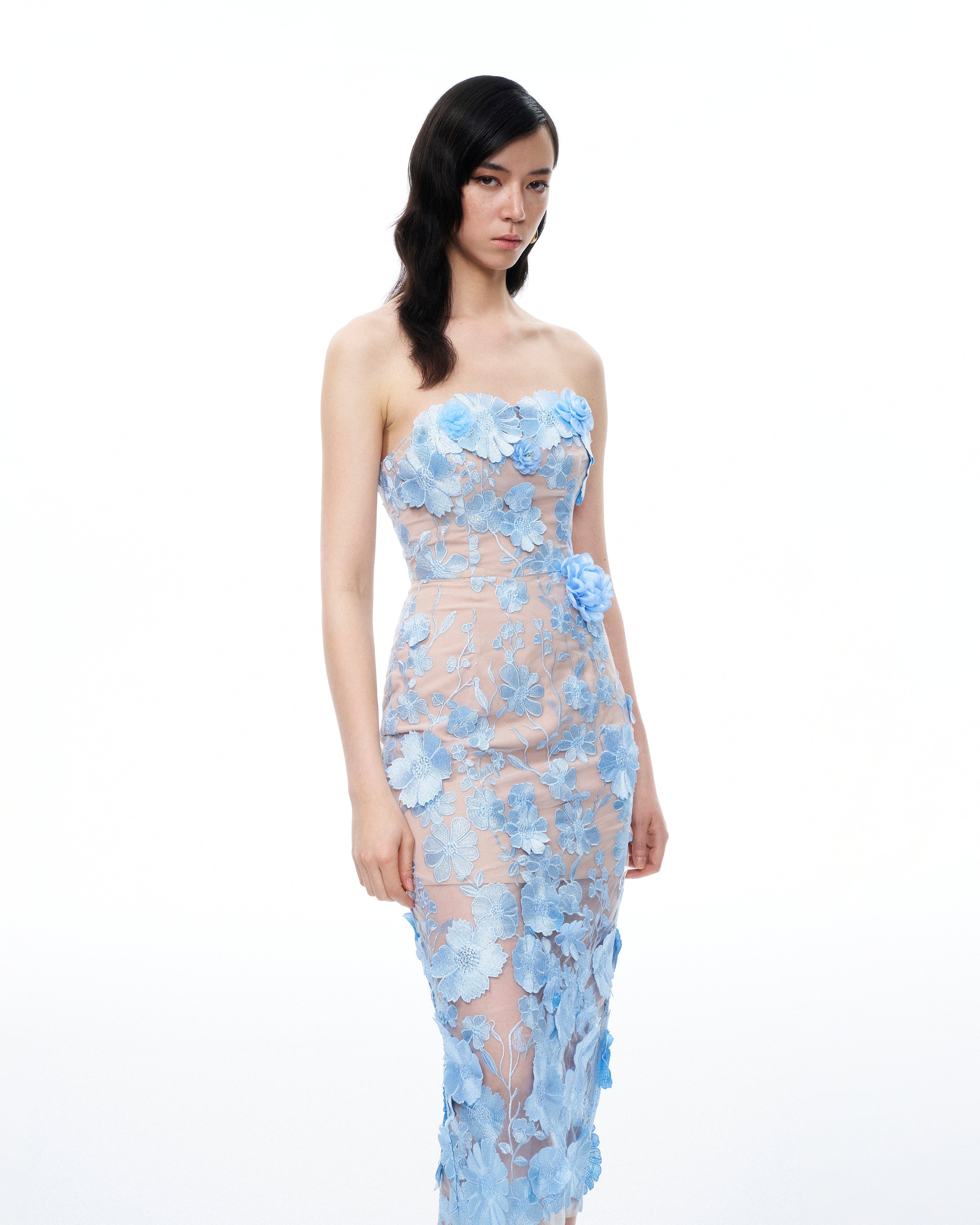 Evander 3D Floral Embroidered Maxi Dress - Blue